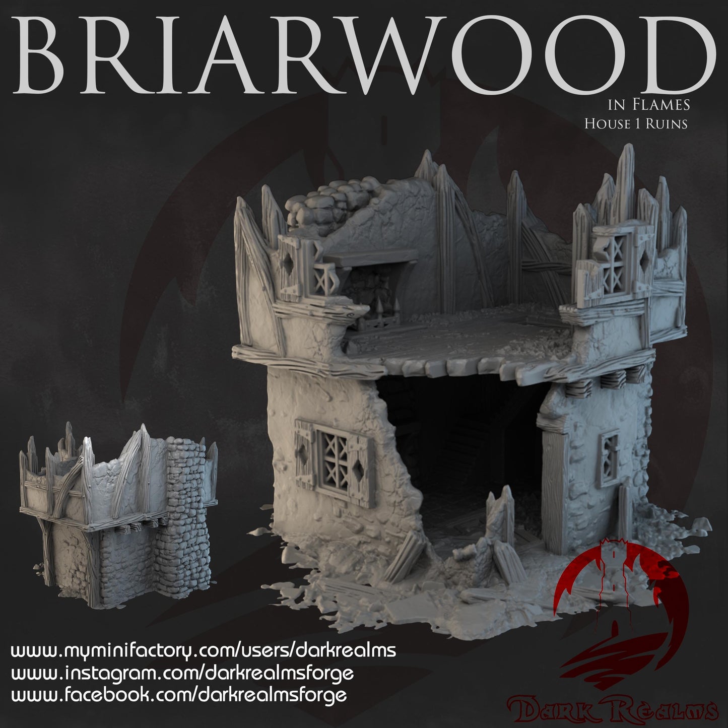 Dark Realms Briarwood - House 1 Ruins - Printed on FDM Bambu Lab X1 Carbon (Custom Order) - product image