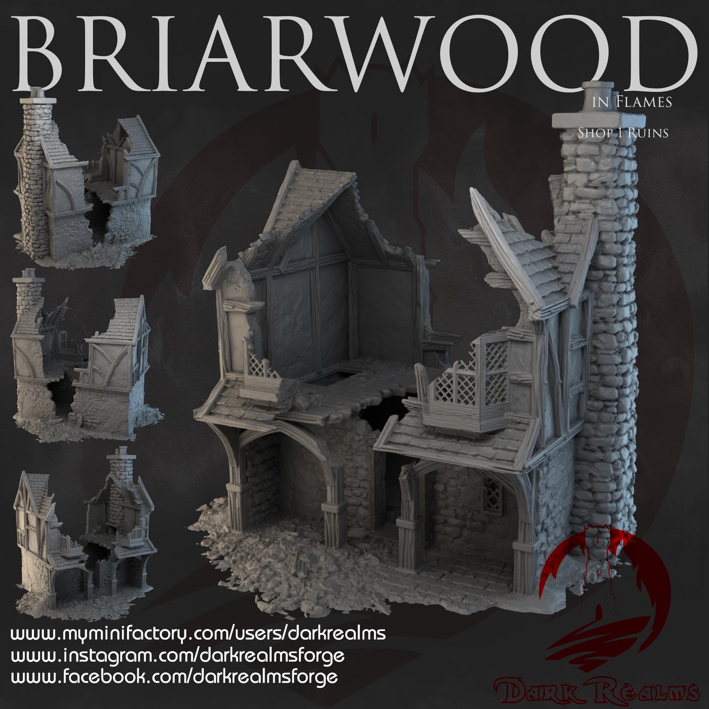 Dark Realms Briarwood - Shop 1 Ruins - Printed on FDM Bambu Lab X1 Carbon (Custom Order) - product image