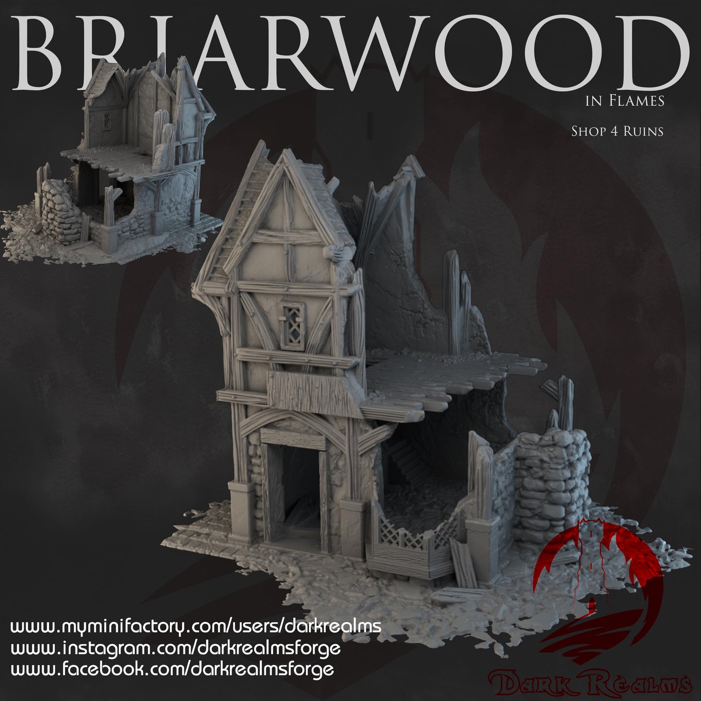 Dark Realms Briarwood - Shop 4 Ruins - Printed on FDM Bambu Lab X1 Carbon (Custom Order) - product image