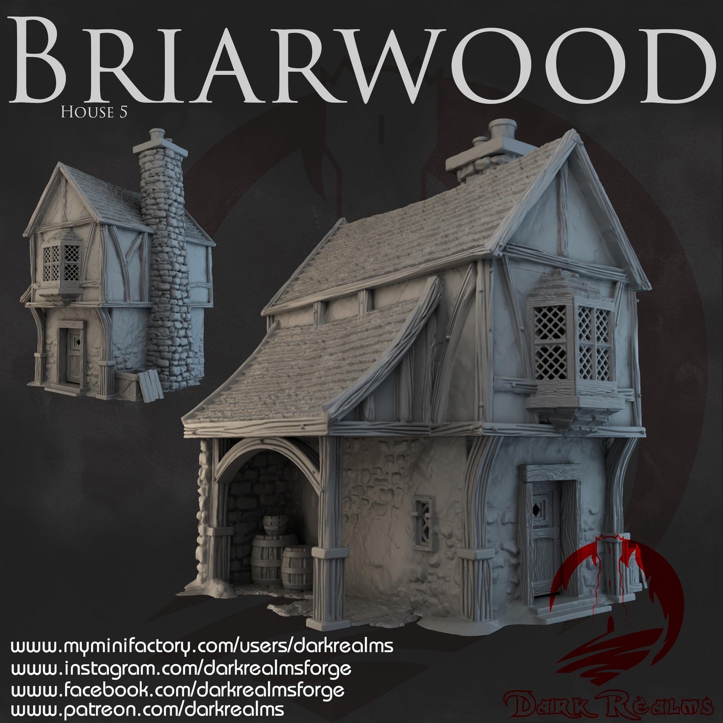 Dark Realms Briarwood - House 5 - Printed on FDM Bambu Lab X1 Carbon (Custom Order) - product image