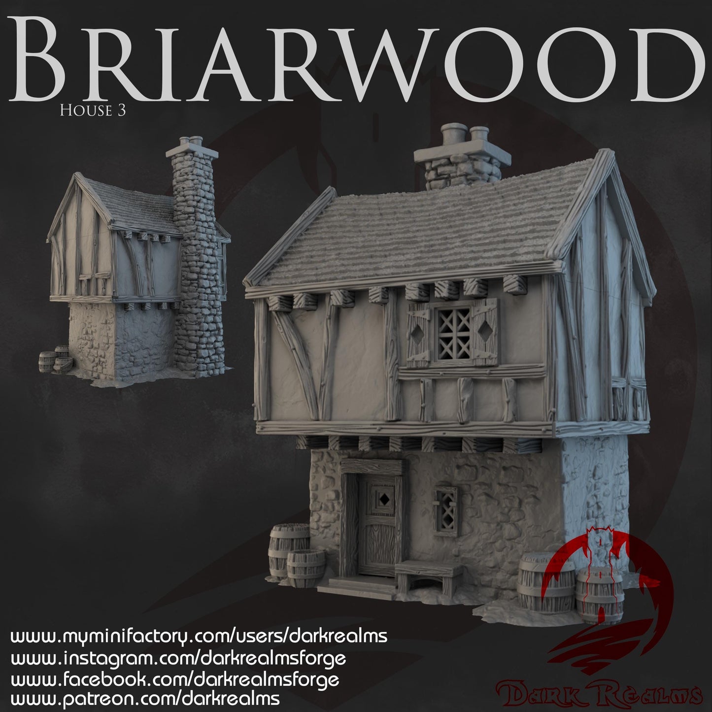 Dark Realms Briarwood - House 3 - Printed on FDM Bambu Lab X1 Carbon (Custom Order) - product image