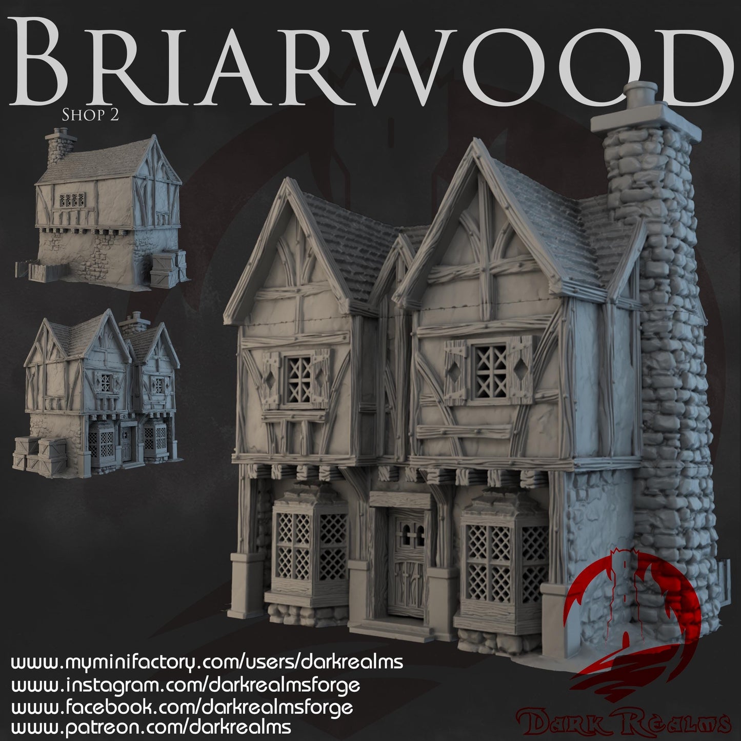 Dark Realms Briarwood - Shop 2 - Printed on FDM Bambu Lab X1 Carbon (Custom Order) - product image