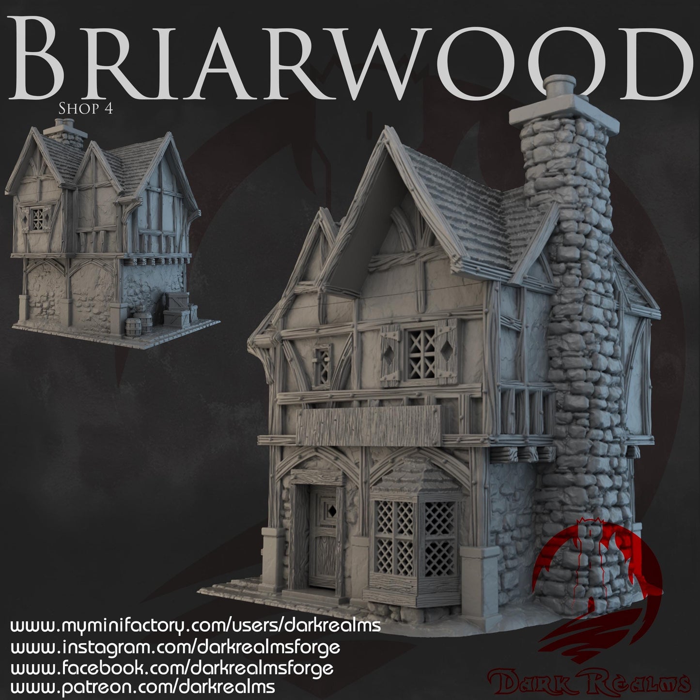 Dark Realms Briarwood - Shop 4 - Printed on FDM Bambu Lab X1 Carbon (Custom Order) - product image
