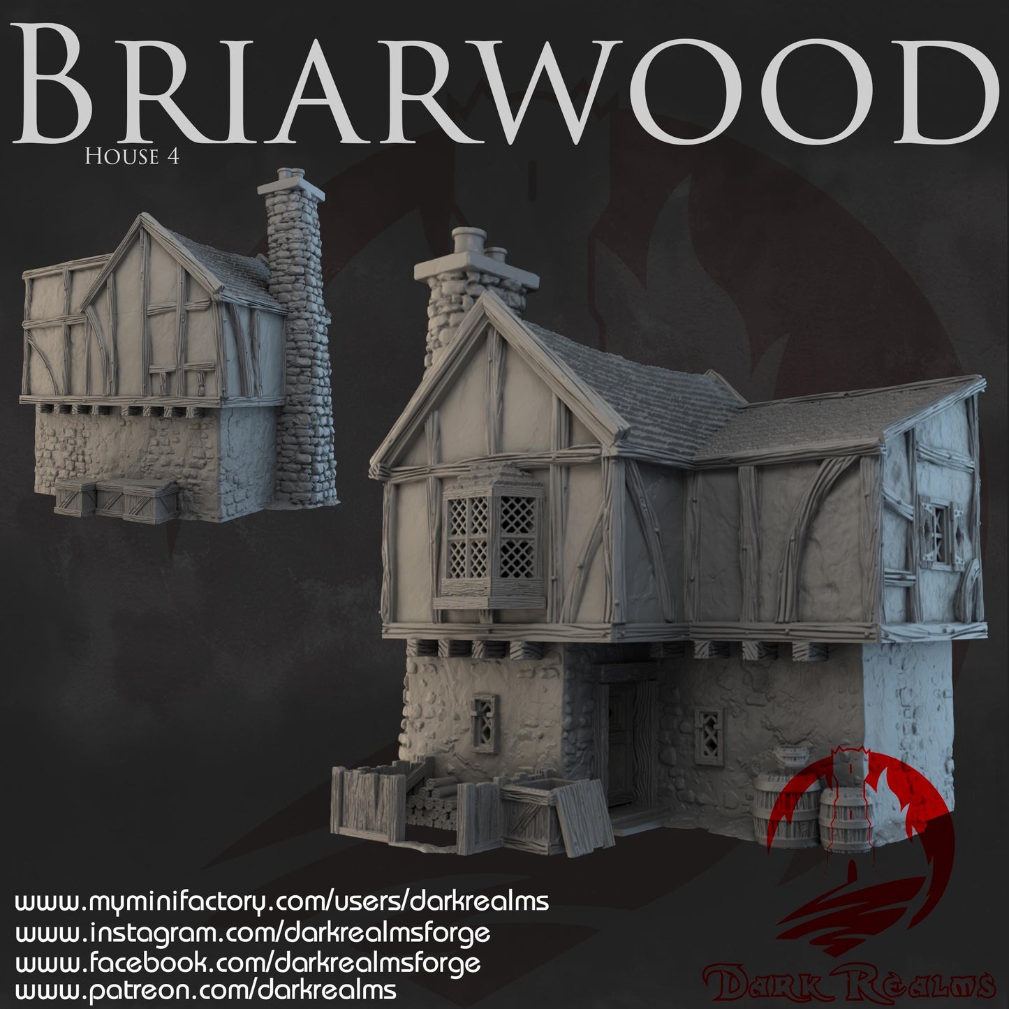 Dark Realms Briarwood - House 4 - Printed on FDM Bambu Lab X1 Carbon (Custom Order) - product image