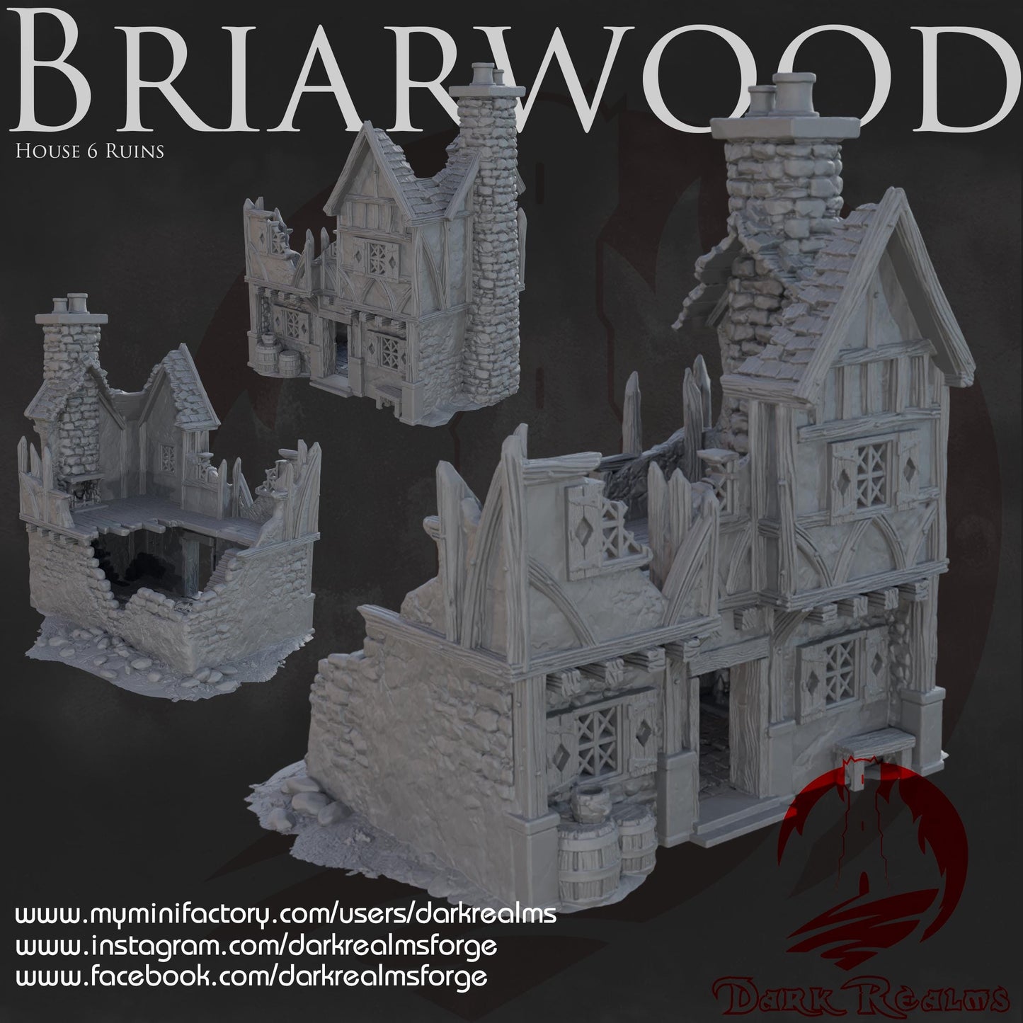 Dark Realms Briarwood - House 6 Ruin - Printed on FDM Bambu Lab X1 Carbon (Custom Order) - product image