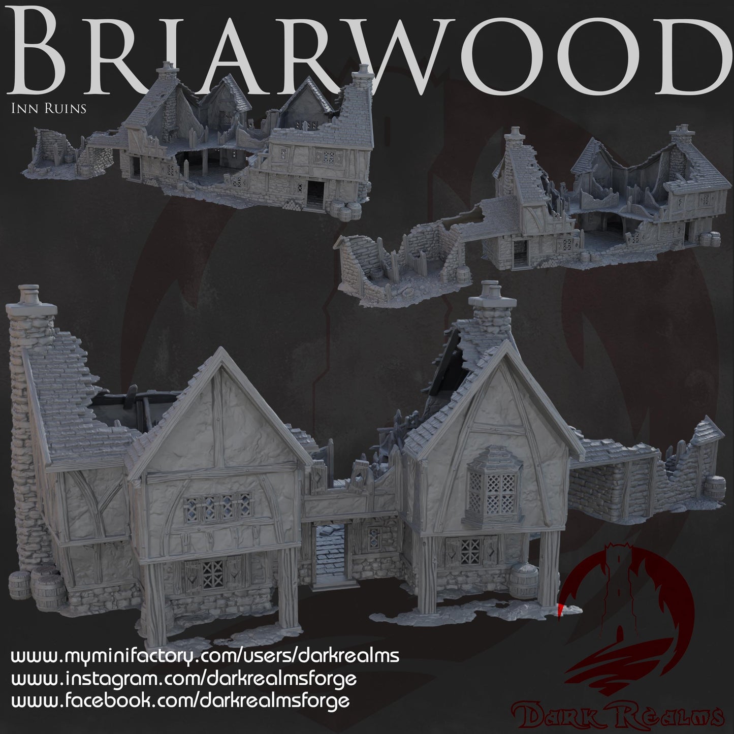 Dark Realms Briarwood - The Leaping Frog Inn Ruins - Printed on FDM Bambu Lab X1 Carbon (Custom Order) - product image