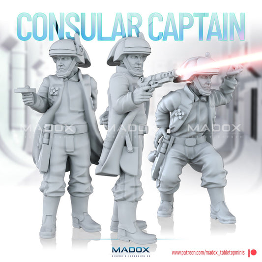 Legion - Consular Captain (Custom Order)