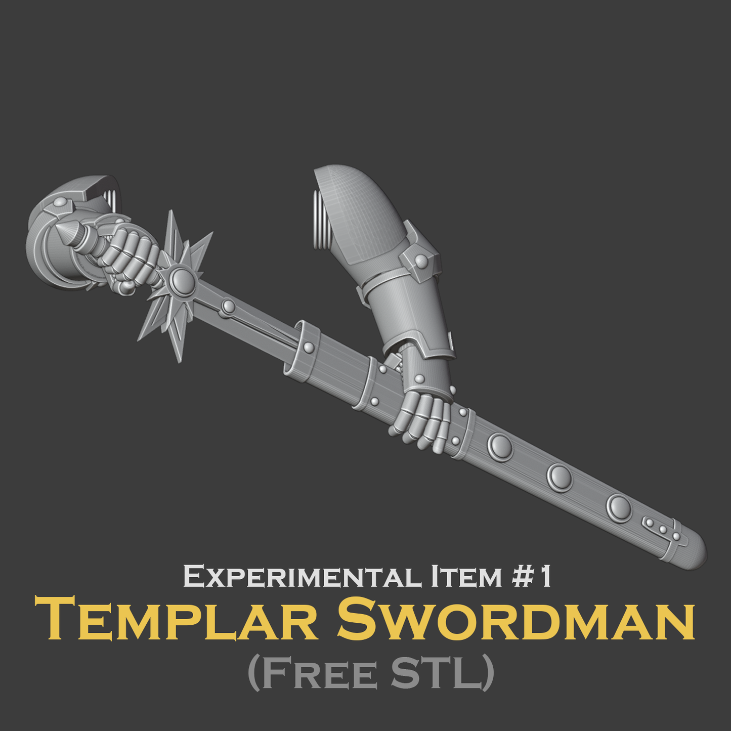 TEMPLAR SWORDMAN POSE