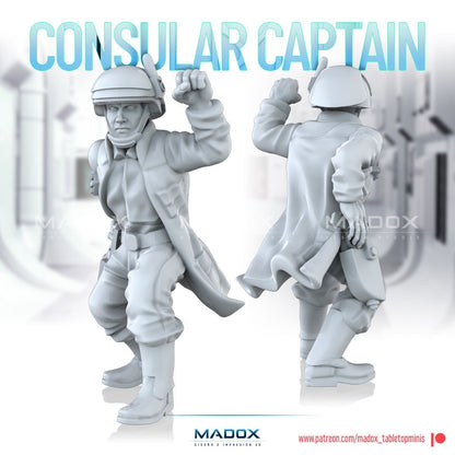 Legion Consular Captain (Custom Order) - product image 4 of 4