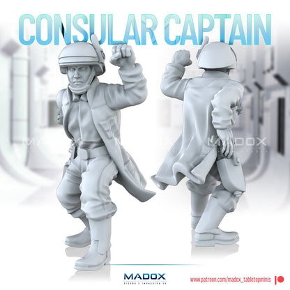 Legion Consular Captain (Custom Order) - product image 4 of 4