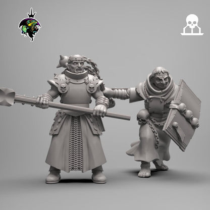 Fantasy Priests and Penitents x10 - Reptilian Overlords (Custom Order) - product image 4 of 10