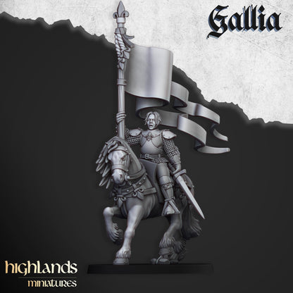 Highland Miniatures Baroness of Gallia - Fantasy / D&D (Custom Order) - product image 1 of 2