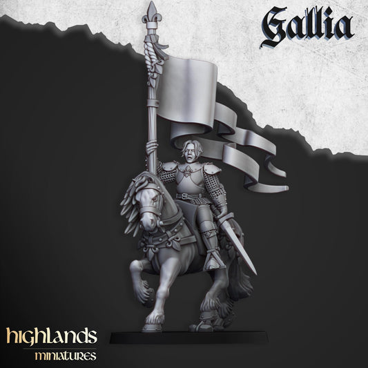 Highland Miniatures Baroness of Gallia - Fantasy / D&D (Custom Order) - product image 1 of 2
