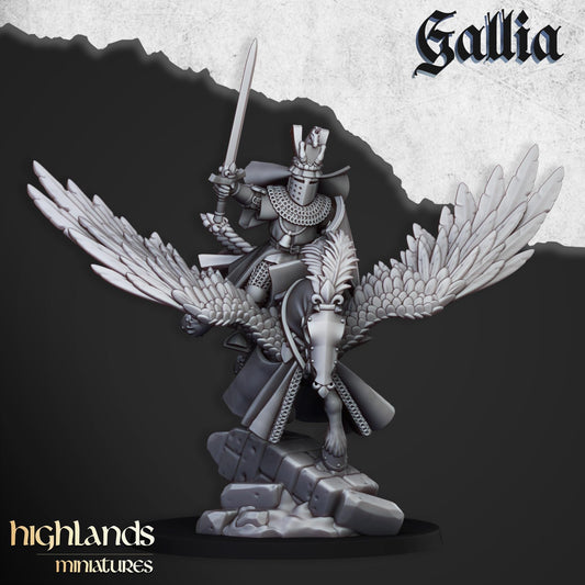 Highland Miniatures Gallia Knights on Pegasus - Fantasy / D&D (Custom Order) - product image 2 of 7