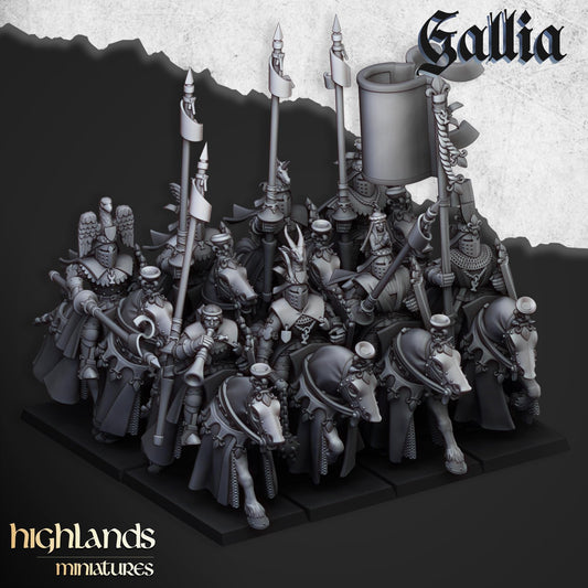 Highland Miniatures Royal Knights of Gallia - Fantasy / D&D (Custom Order) - product image