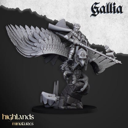 Highland Miniatures Robert the Gallia - Fantasy / D&D (Custom Order) - product image 2 of 3