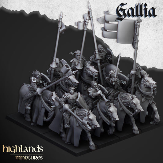 Highland Miniatures Young Knights of Gallia - Fantasy / D&D (Custom Order) - product image