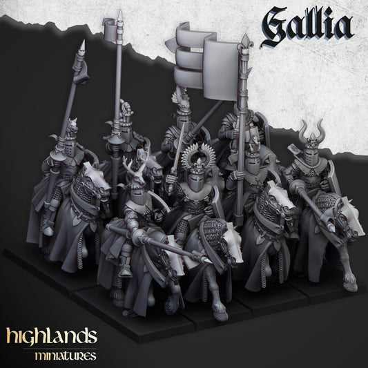 Highland Miniatures Royal Knights of Gallia - Fantasy / D&D (Custom Order) - product image