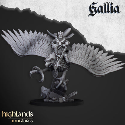 Highland Miniatures Robert the Gallia - Fantasy / D&D (Custom Order) - product image 3 of 3
