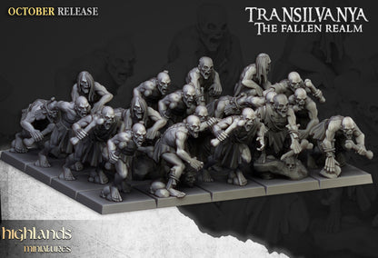 Highland Miniatures Transilvanya Ghouls Unit - Fantasy / D&D (Custom Order) - product image 2 of 3