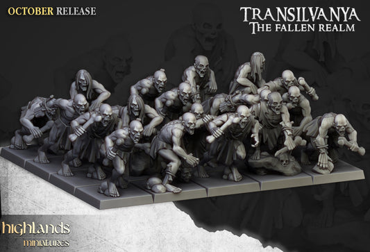 Highland Miniatures Transilvanya Ghouls Unit - Fantasy / D&D (Custom Order) - product image 2 of 3
