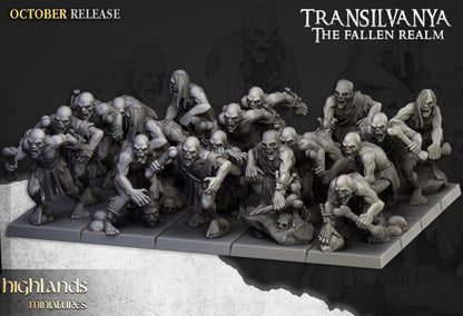Highland Miniatures Transilvanya Ghouls Unit - Fantasy / D&D (Custom Order) - product image 1 of 3