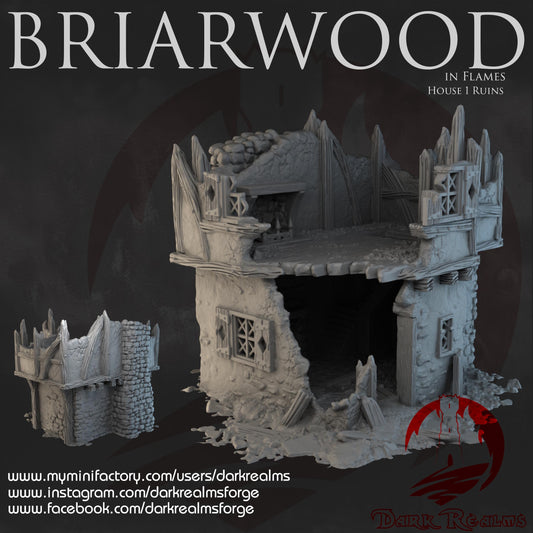 Dark Realms Briarwood - House 1 Ruins - Printed on FDM Bambu Lab X1 Carbon (Custom Order) - product image