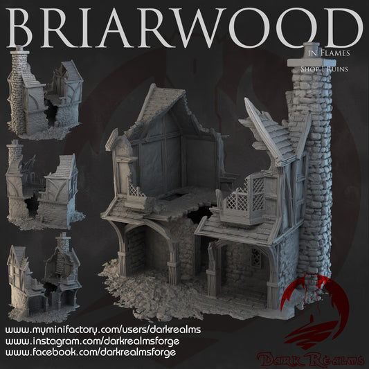 Dark Realms Briarwood - Shop 1 Ruins - Printed on FDM Bambu Lab X1 Carbon (Custom Order) - product image