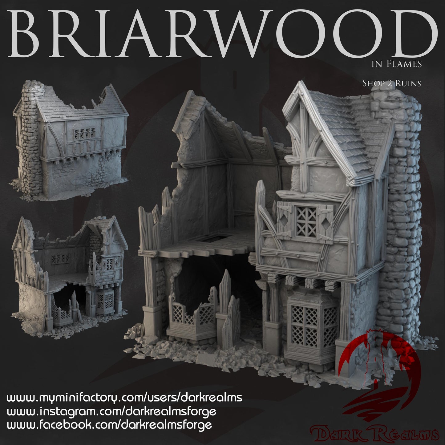 Dark Realms Briarwood - Shop 2 Ruins - Printed on FDM Bambu Lab X1 Carbon (Custom Order) - product image