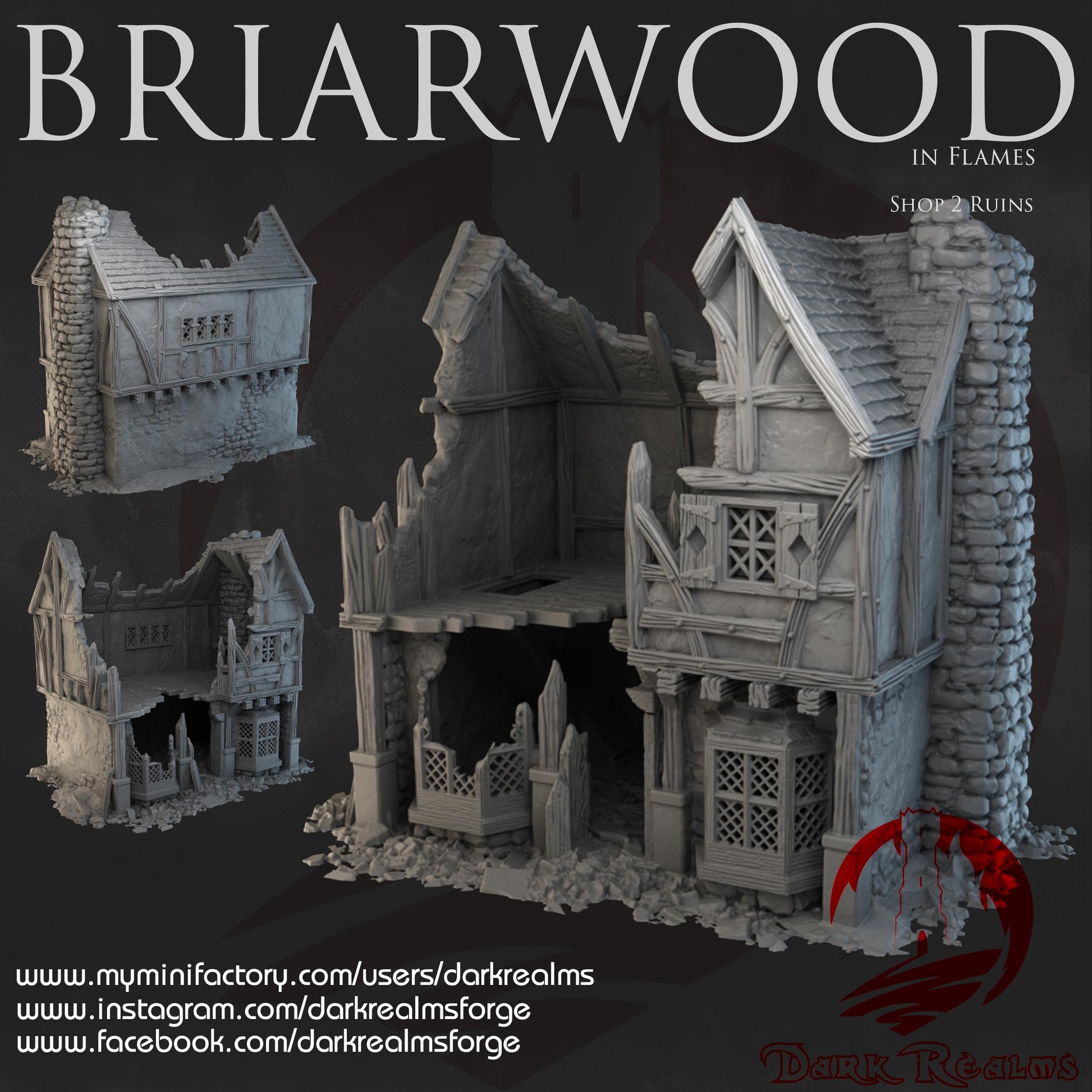 Dark Realms Briarwood - Shop 2 Ruins - Printed on FDM Bambu Lab X1 Carbon (Custom Order) - product image