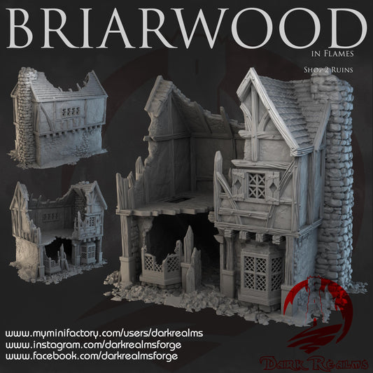 Dark Realms Briarwood - Shop 2 Ruins - Printed on FDM Bambu Lab X1 Carbon (Custom Order) - product image