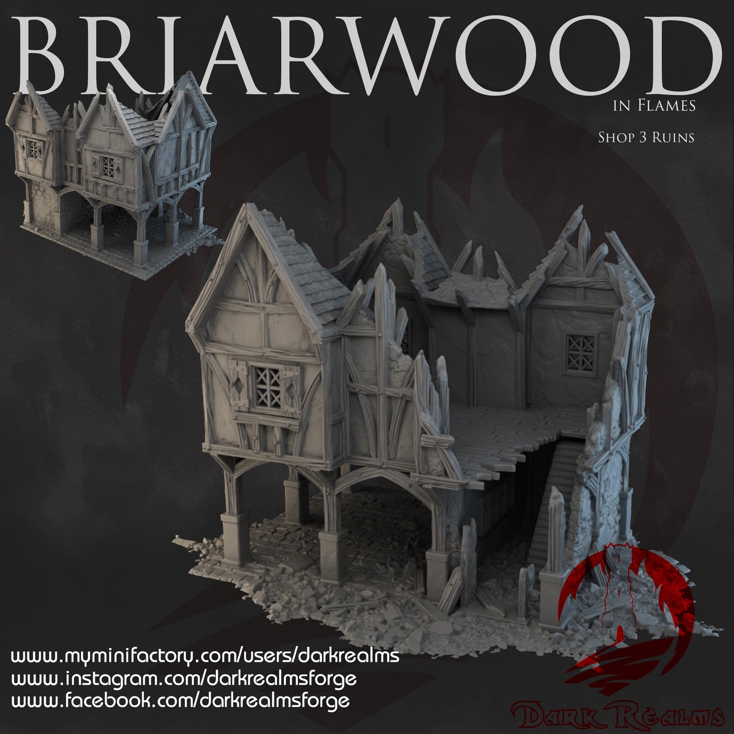 Dark Realms Briarwood - Shop 3 Ruins - Printed on FDM Bambu Lab X1 Carbon (Custom Order) - product image