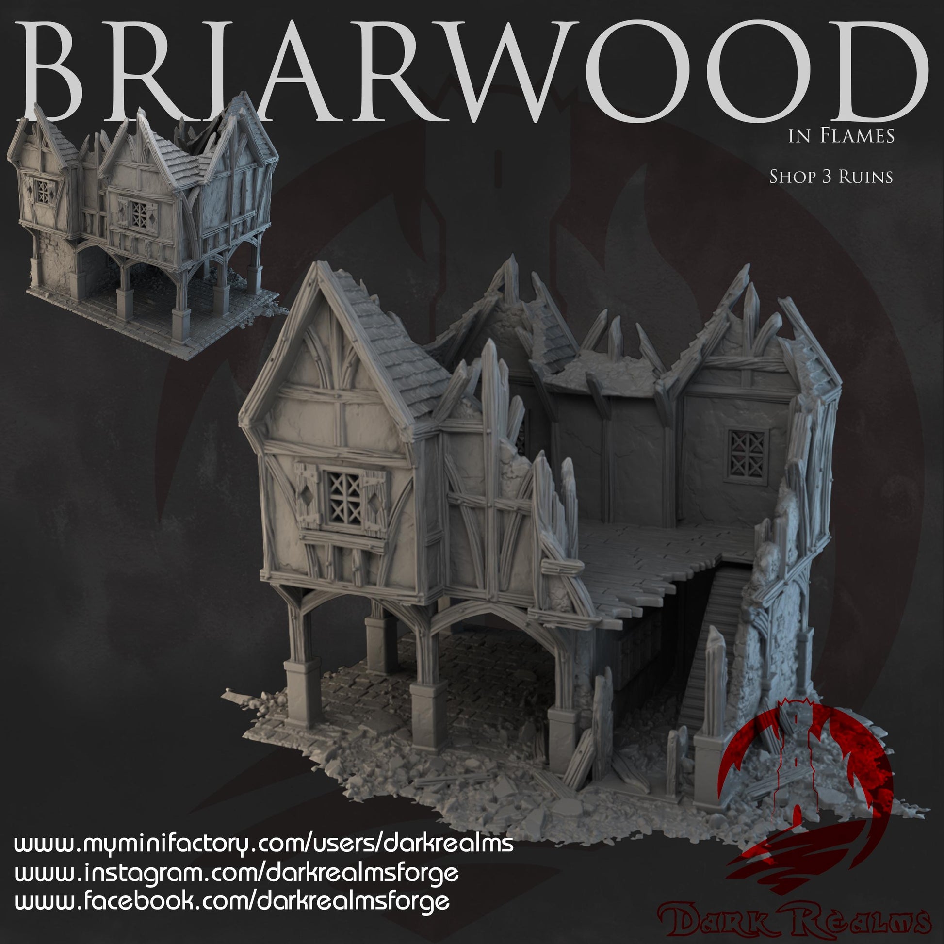 Dark Realms Briarwood - Shop 3 Ruins - Printed on FDM Bambu Lab X1 Carbon (Custom Order) - product image