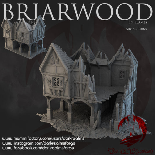 Dark Realms Briarwood - Shop 3 Ruins - Printed on FDM Bambu Lab X1 Carbon (Custom Order) - product image