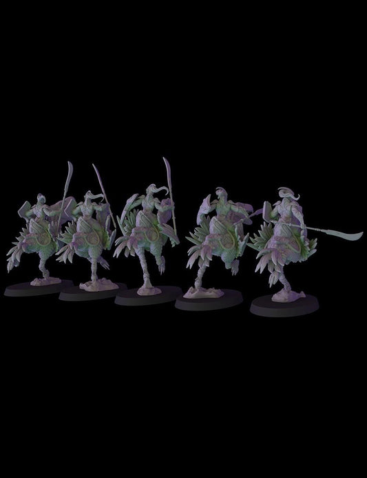 Fantasy Cult Elven Terror Birds Riders x5 (Custom Order) - product image 2 of 4