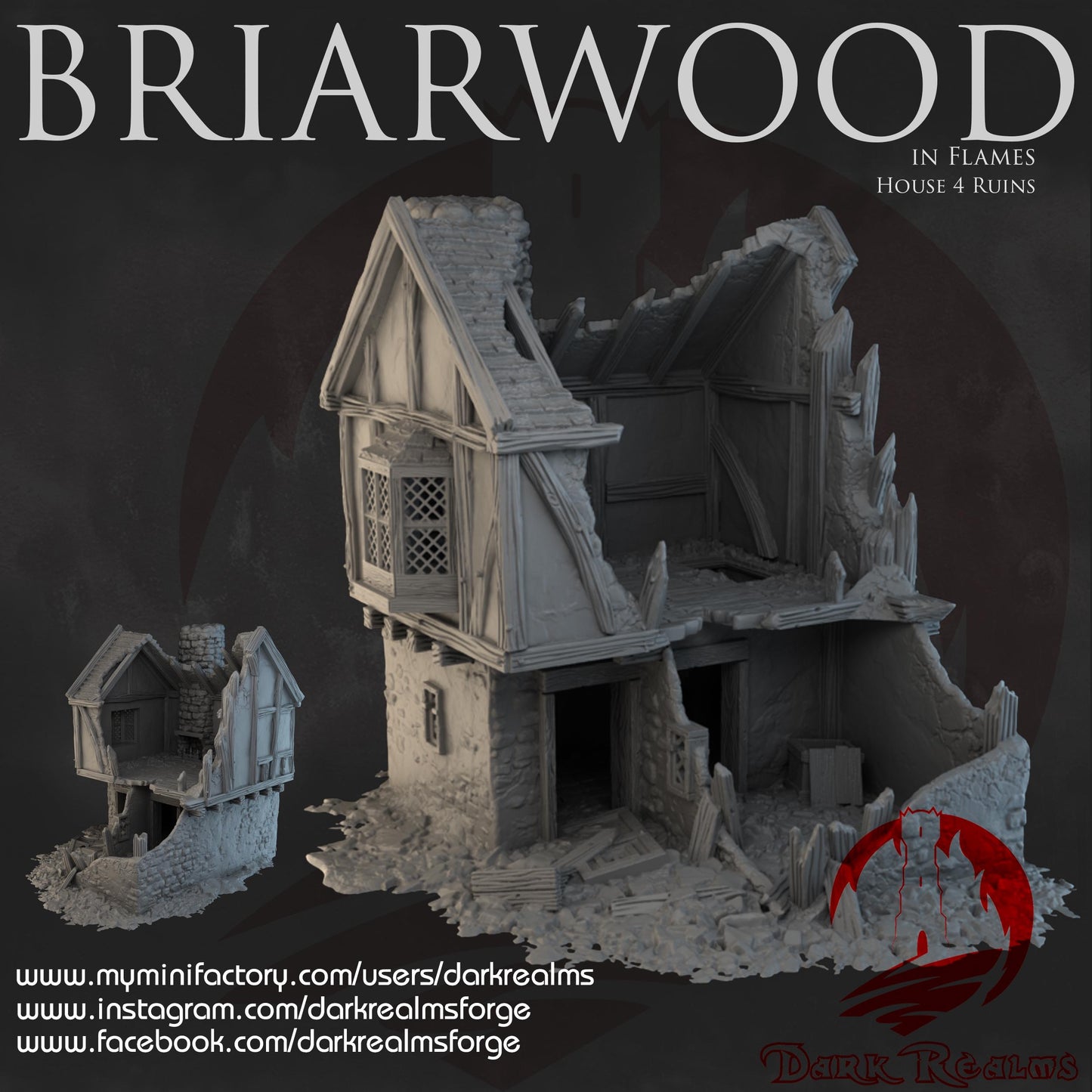 Dark Realms Briarwood - House 4 Ruins - Printed on FDM Bambu Lab X1 Carbon (Custom Order) - product image