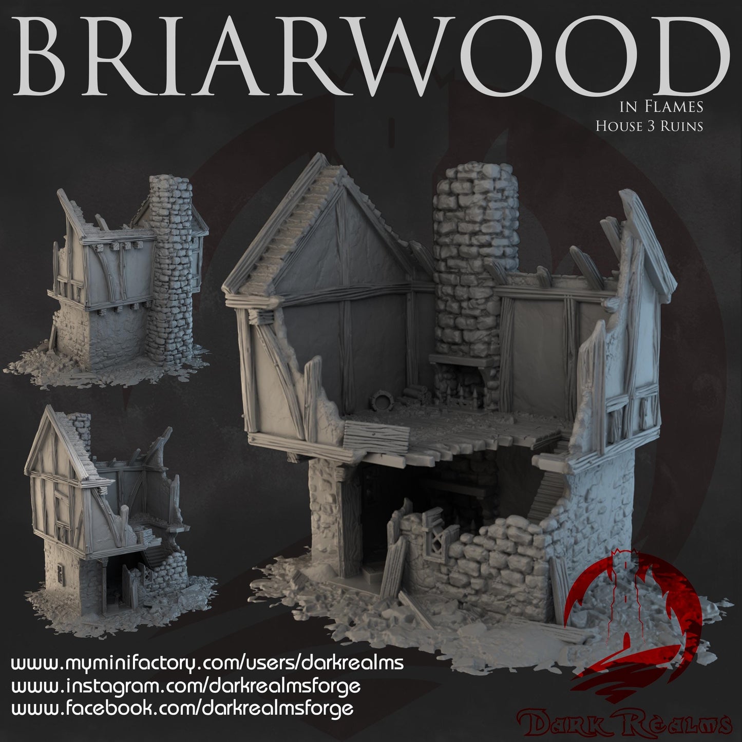 Dark Realms Briarwood - House 3 Ruins - Printed on FDM Bambu Lab X1 Carbon (Custom Order) - product image