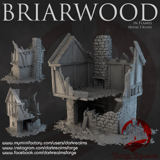 Dark Realms Briarwood - House 3 Ruins - Printed on FDM Bambu Lab X1 Carbon (Custom Order) - product image