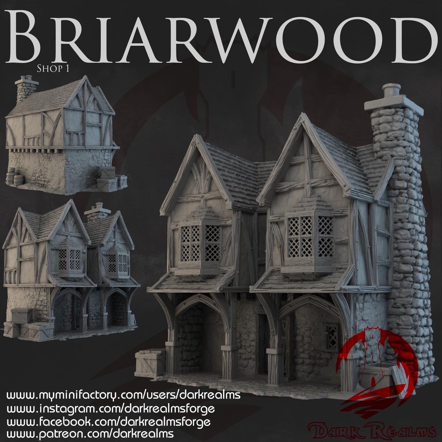 Dark Realms Briarwood - Shop 1 - Printed on FDM Bambu Lab X1 Carbon (Custom Order) - product image