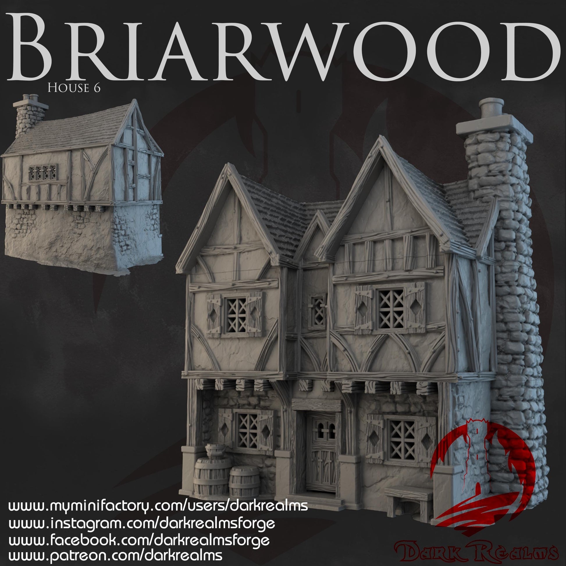 Dark Realms Briarwood - House 6 - Printed on FDM Bambu Lab X1 Carbon (Custom Order) - product image