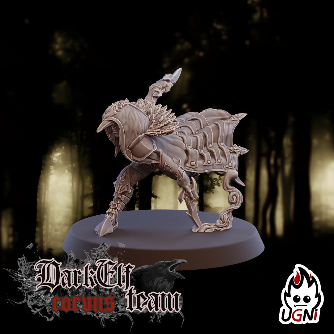 Dark Elf Team (Corvus Cabal Style) Designed by UGNI Miniatures - Fantasy Football - product image 8 of 10
