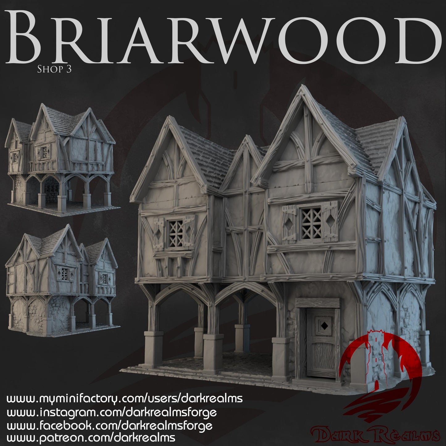 Dark Realms Briarwood - Shop 3 - Printed on FDM Bambu Lab X1 Carbon (Custom Order) - product image