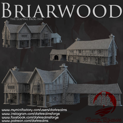 Dark Realms Briarwood - The Leaping Frog Inn - Printed on FDM Bambu Lab X1 Carbon (Custom Order) - product image 1 of 2