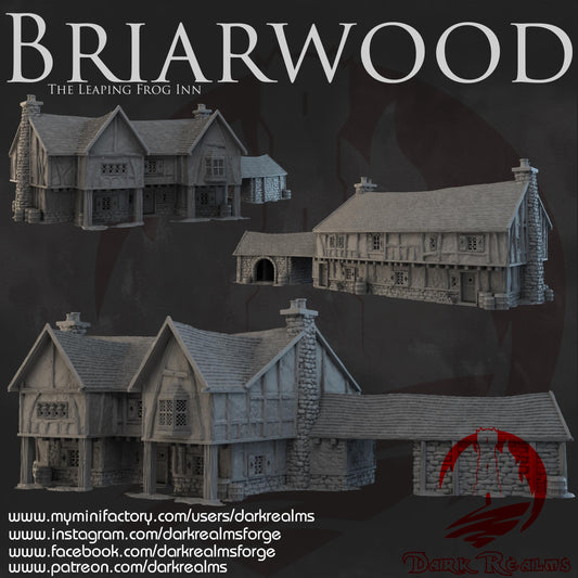 Dark Realms Briarwood - The Leaping Frog Inn - Printed on FDM Bambu Lab X1 Carbon (Custom Order) - product image 1 of 2
