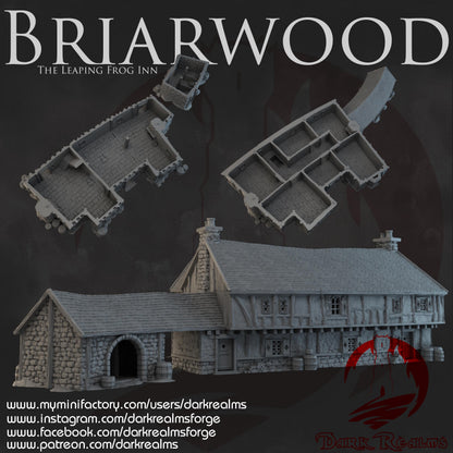 Dark Realms Briarwood - The Leaping Frog Inn - Printed on FDM Bambu Lab X1 Carbon (Custom Order) - product image 2 of 2