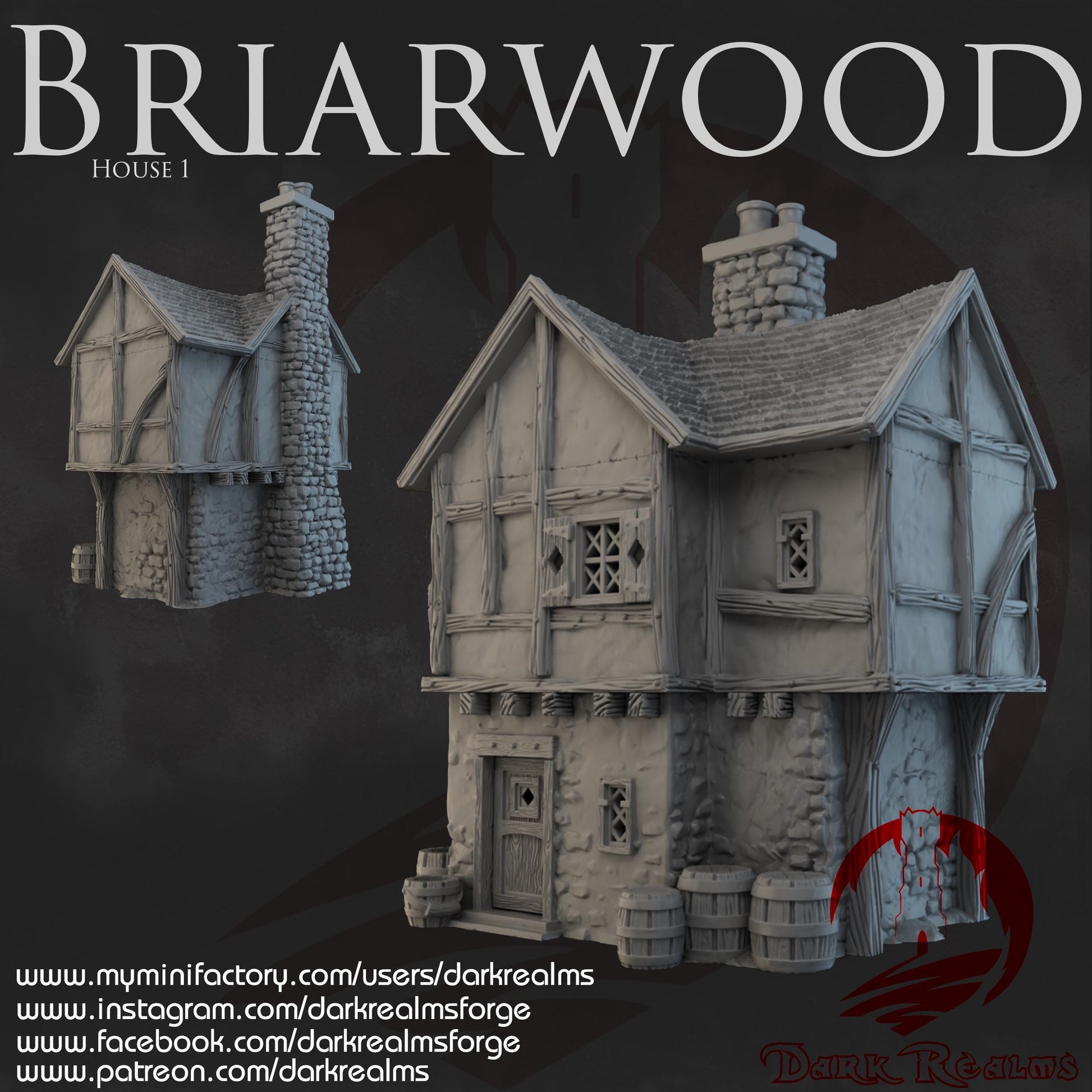 Dark Realms Briarwood - House 1 - Printed on FDM Bambu Lab X1 Carbon (Custom Order) - product image