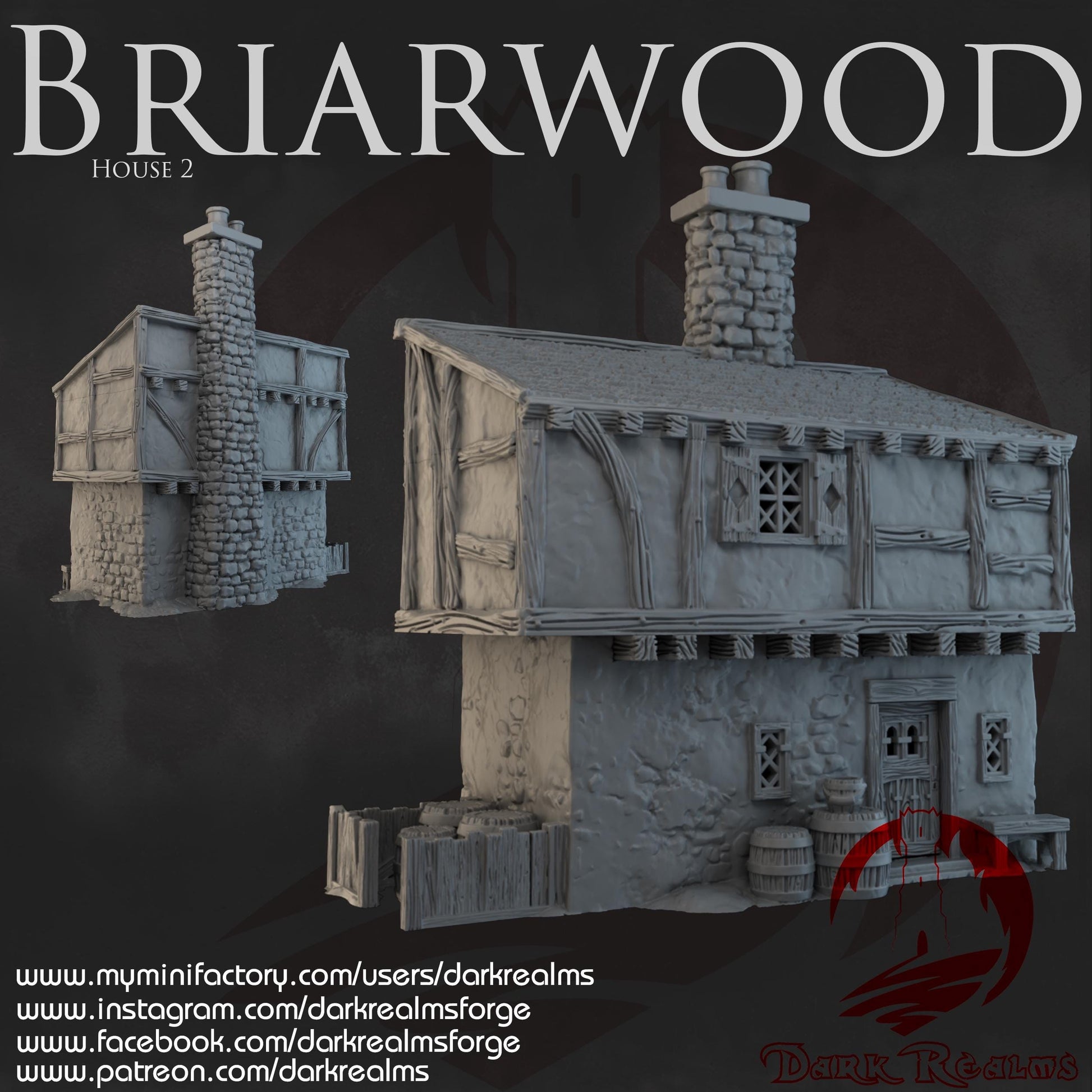 Dark Realms Briarwood - House 2 - Printed on FDM Bambu Lab X1 Carbon (Custom Order) - product image