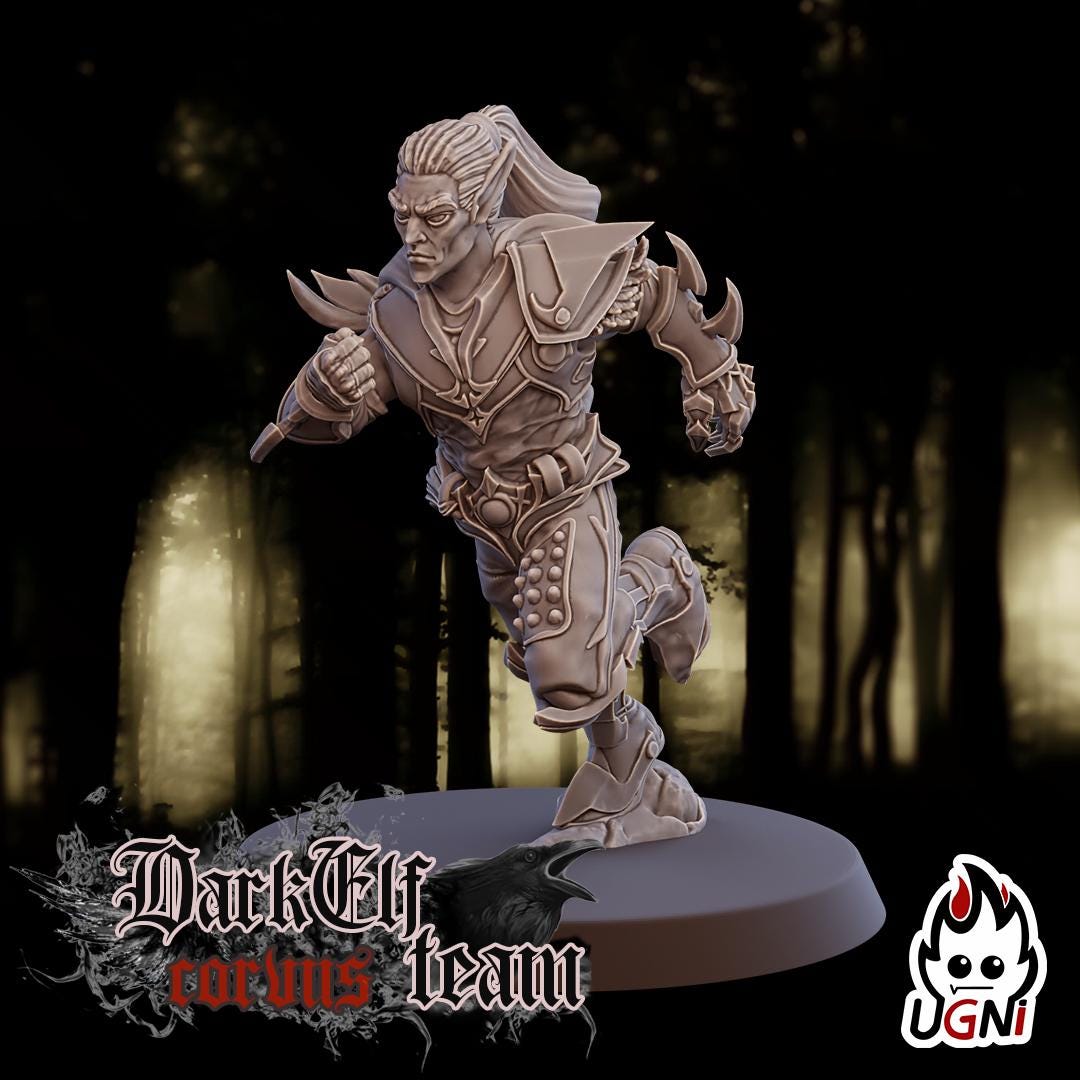 Dark Elf Team (Corvus Cabal Style) Designed by UGNI Miniatures - Fantasy Football - product image 2 of 10