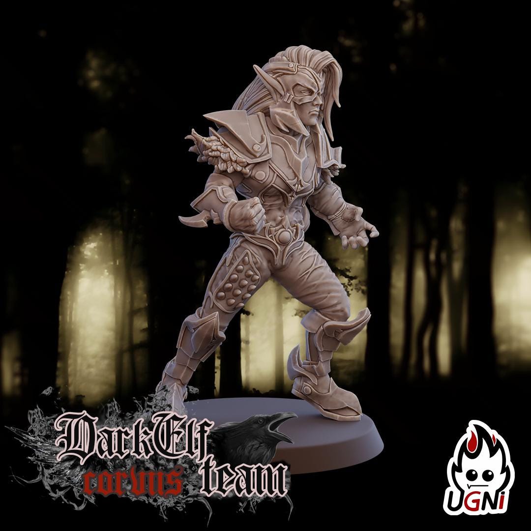 Dark Elf Team (Corvus Cabal Style) Designed by UGNI Miniatures - Fantasy Football - product image 5 of 10