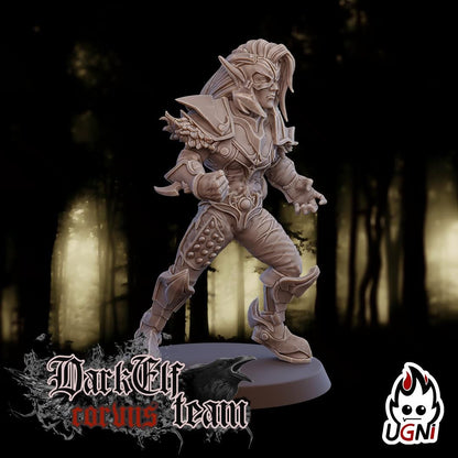 Dark Elf Team (Corvus Cabal Style) Designed by UGNI Miniatures - Fantasy Football - product image 5 of 10